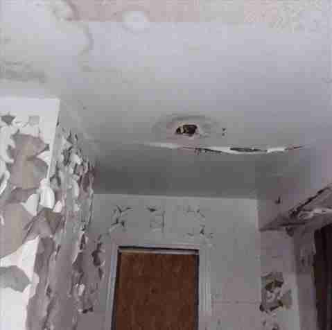 4200156_0025 (2).jpg